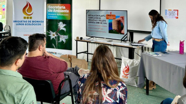 Se realizó la Audiencia Pública del proyecto “BRIK NIC” de fabricación de briquetas y pellets de madera