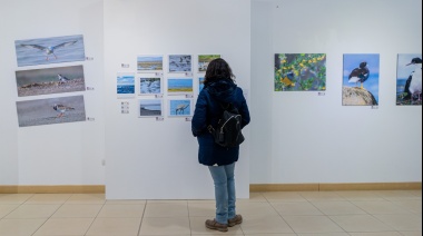 Se inauguró la muestra “Camino a casa: la naturaleza” en el Museo Fueguino de Arte Niní Bernardello