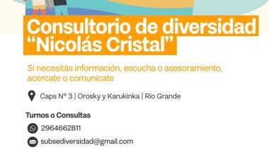 Los Consultorios de Diversidad son parte del mapa de efectores en hormonización e inhibición del desarrollo puberal de la Nación