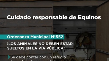 Se recuerda la vigencia de ordenanzas que disponen el cuidado responsable de equinos