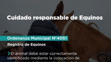Se recuerda la vigencia de ordenanzas que disponen el cuidado responsable de equinos