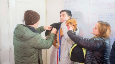 El Municipio atendió más de 200 animales durante la jornada “Zoonosis más cerca"