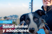 Zoonosis Municipal realizará una jornada de salud animal en el Paseo de las Rosas