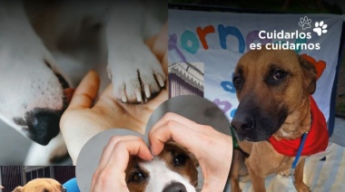 Se invita a la jornada “¡El mejor amigo del ser humano es el perro!”