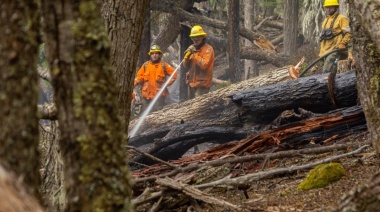 Brigadistas nacionales se sumarán a la lucha contra el incendio forestal