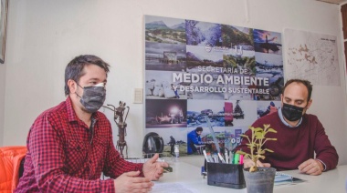 Más de 35 mil colillas contabilizadas en la primera quincena de marzo