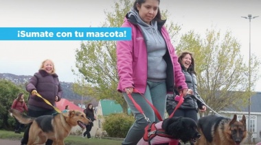 Se llevará una jornada especial por el Día del Animal