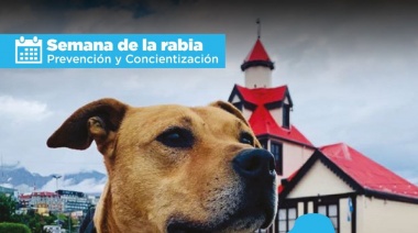 Se realizará jornadas especiales de vacunación contra la rabia