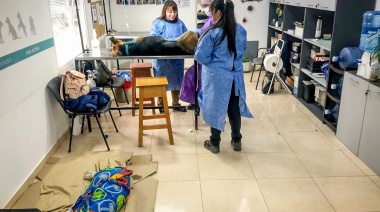 Se llevó adelante la jornada de castración masiva de canes