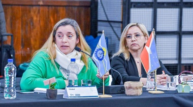 Tierra del Fuego presentó el nuevo Centro Provincial de Rehabilitación en la asamblea del Consejo Federal de Discapacidad