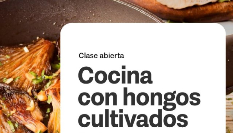 Una invitación a descubrir el mundo Fungi y su valor en la producción local
