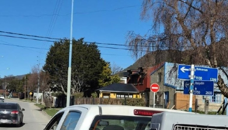 Labraron 28 actas por infracciones a la normativa sobre tenencia responsable