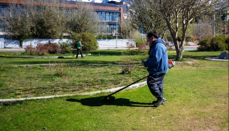 Tareas de mantenimiento en los espacios verdes de la ciudad
