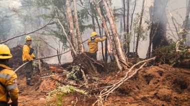 Estado de situación incendio en la reserva Corazón de la Isla