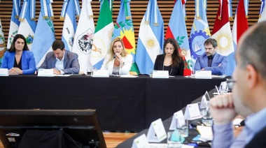 En reunión plenaria el Consejo Federal de Energía destacó la planificación energética realizada por la Provincia