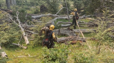 Aseguran que el incendio ahora se encuentra "circunscripto"