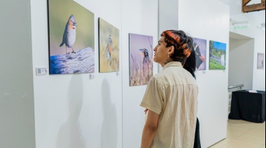 Se inauguró la muestra “Camino a casa: la naturaleza” en el Museo Fueguino de Arte Niní Bernardello
