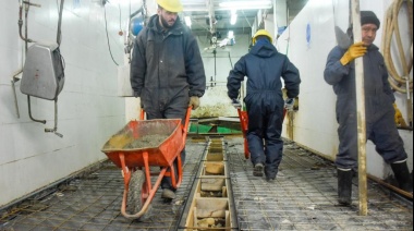 Avanza el plan de obras en el Matadero Municipal
