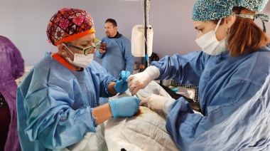 El Municipio de Ushuaia participó de las Jornadas de Castración Masiva  en América Latina