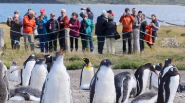 Casi 80 mil turistas visitaron Ushuaia