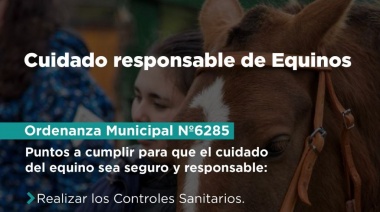 Se recuerda la vigencia de ordenanzas que disponen el cuidado responsable de equinos