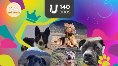 Ushuaia elegirá rey y reina de cuatro patas para el desfile por los 140 años de la ciudad