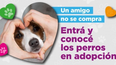 Vecinos ya pueden consultar sobre mascotas en adopción en la página de la Dirección de Zoonosis del Municipio
