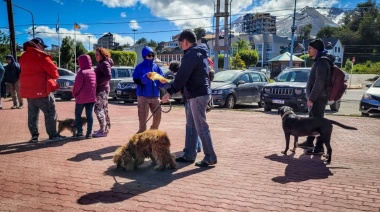 La Municipalidad participó a través del equipo del quirófano móvil en la caninata que organizó ARAF