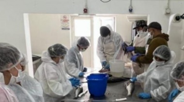 Continúa la capacitación sobre fileteado de pescado y procesamiento de crustáceos destinada a mujeres de Ushuaia