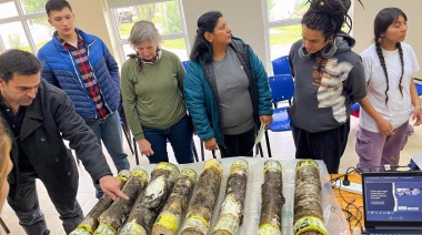 Se avanza con ensayos de hongos cultivados en troncos de lenga