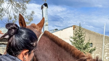 Personal de zoonosis chipeó equinos de la Policía fueguina