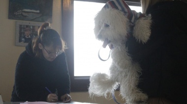 Se llegó a andorra con una jornada de atención de veterinaria gratuita