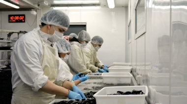 Se concretó la exportación de centollón elaborado