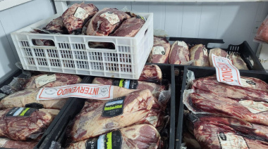 Municipio incautó y descartó 900 kilos de carne