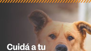 Se lanza la campaña "Cuidá tu perro, cuidemos el ambiente” para frenar los impactos de los perros sueltos y asilvestrados