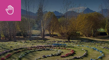 La Municipalidad de Ushuaia acompañará a “Caminar Colectivamente” por el Día Mundial del Árbol