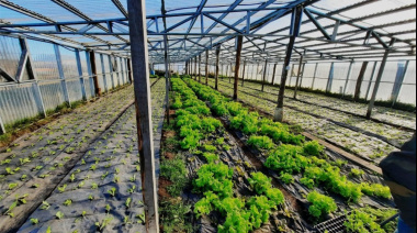 Se impulsa la producción local con un nuevo protocolo para el Sello de Calidad Certificada de la provincia