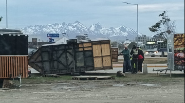 Fuertes vientos causan destrozos y caídas de árboles en Ushuaia