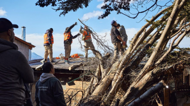 Se continúa con las tareas de limpieza tras el fuerte temporal de viento