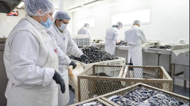 Se abordó la importancia de la industria alimentaria para la diversificación productiva de Tierra del Fuego