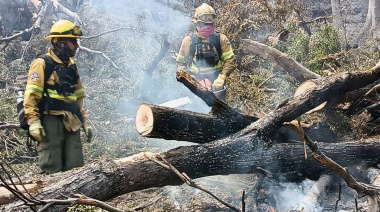 Se envió brigadistas para combatir el incendio en el parque nacional los alerces