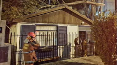 Temporal en Ushuaia: ráfagas de más de 100 km/h provocaron daños y caída de árboles