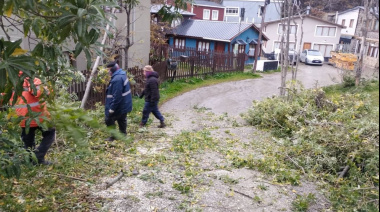 El Municipio despliega un operativo integral de acompañamiento y limpieza