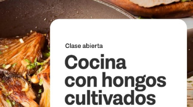 Una invitación a descubrir el mundo Fungi y su valor en la producción local