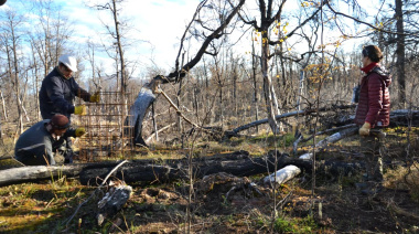 Se avanza la reforestación en la zona afectada por el incendio