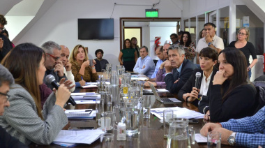 Se expuso ante legisladores sobre la situación del sector y el Régimen de Aduana en Factoría