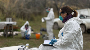 Se concluyeron el operativo de vigilancia por hantavirus en Ushuaia