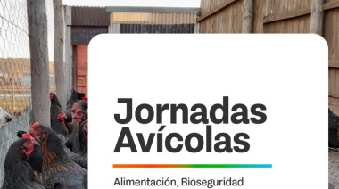Gobierno impulsa Jornadas Avícolas para fortalecer la producción local