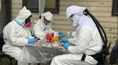 Salud confirmó que la variante de hantavirus vinculada al crucero MV Hondius no circula