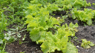 Comienza un nuevo ciclo de capacitaciones en buenas prácticas agrícolas para el sector hortícola